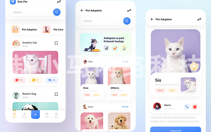 宠物管理软件医院护理用品商城寄养app定制开发