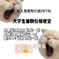 学生党高性价比PPT定制，真诚靠谱