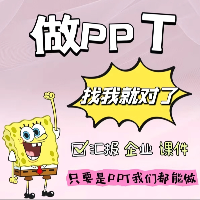 专业PPT定制设计，打造精美演示文稿