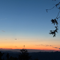 ppt制作，文案编辑，视频剪辑。