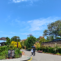 专业PPT模板设计服务