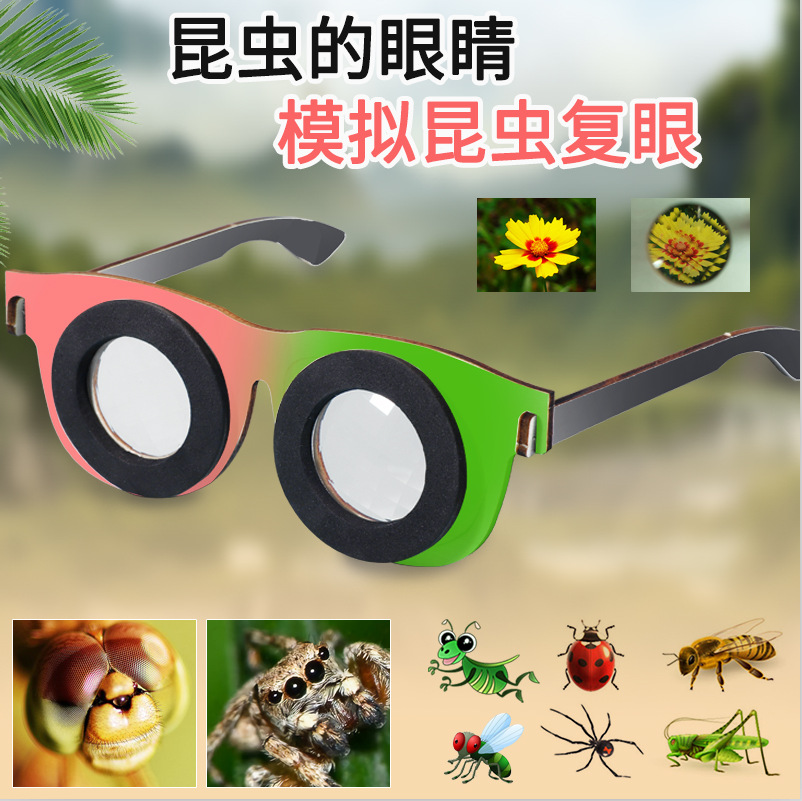 科技小制作昆虫的眼睛多棱镜复眼diy科学小实验儿童玩教具材料包