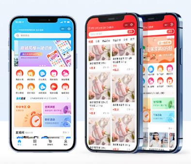 B2C单商户电商系统源码部署小程序+公众