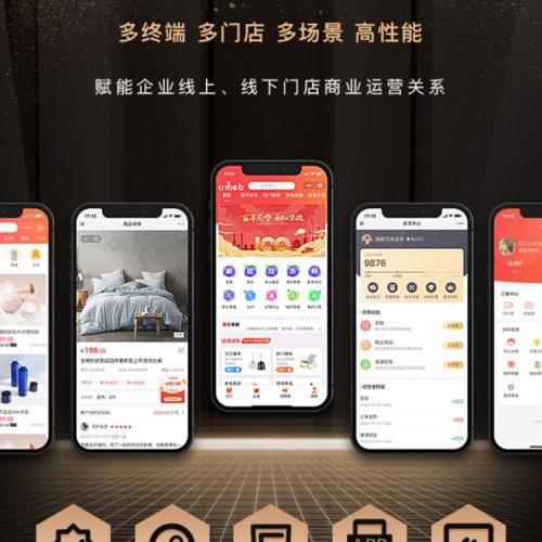 企业级B2C多门店智慧连锁电商系统源码部
