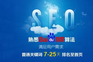 网站单词SEO优最低5元起/个，不限新旧