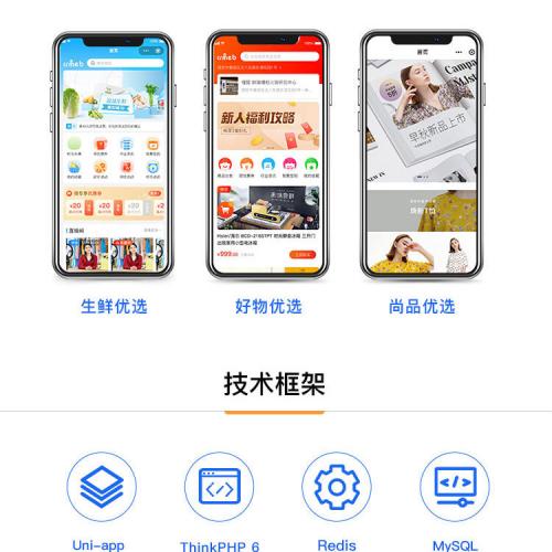 B2C电商系统商城源码支持pC+小程序+